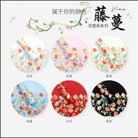 羽茵纸藤蔓