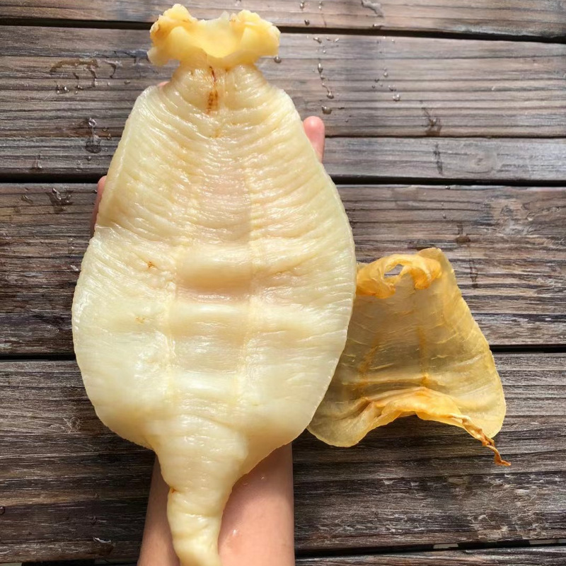 Deep Sea Red Lips Collagen Yellow Tube Cod Fish Collagen Edible Bean Clam Fish Maw Postpartum Nourishing Soup Pregnant Women Fresh Stewed Dried Goods Fish Collagen