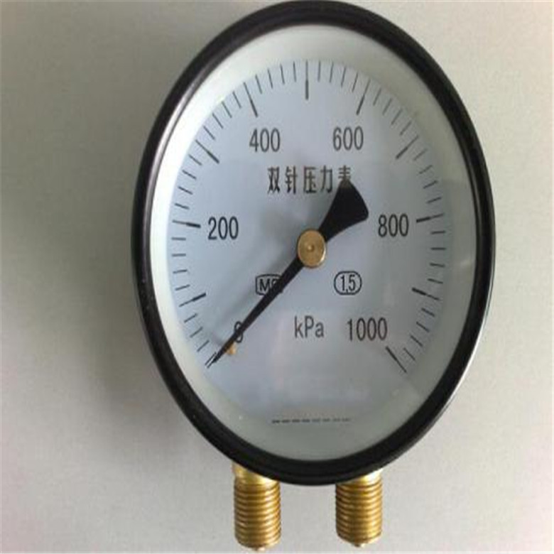 供应YZS-102双针压力表 1200KPA双管双针压力表  荣华  长城 派澳