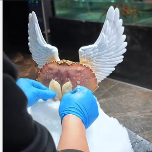 New Chinese-Style Treasure Crab White Wings Sashimi Plating Background Decoration Resin