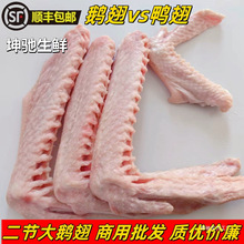 新鲜二节大鹅翅 级大号鹅翅膀大 冷冻批发商用餐饮卤烧鹅掌鹅翼