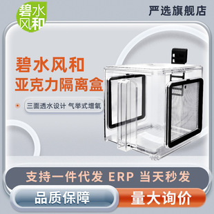 Green Water Wind and Fish Tank Isolation Box Guppy Hatching Box Tropical Fish Small Fish Juvenile Hatching Box