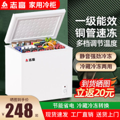志高双温冰柜家用冷冻冷藏保鲜两用小型省电双门商用冷柜大容量