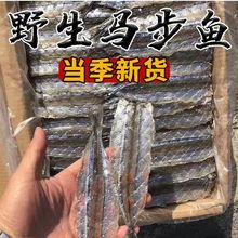 烧烤店专用马步鱼干 海鲜烧烤商用新鲜厂家直发半半成品烧烤一绝