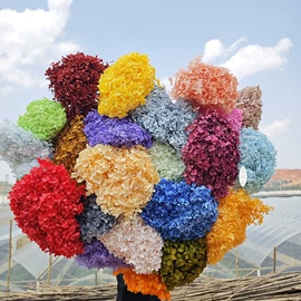 干花;永生花;鲜花花艺制品