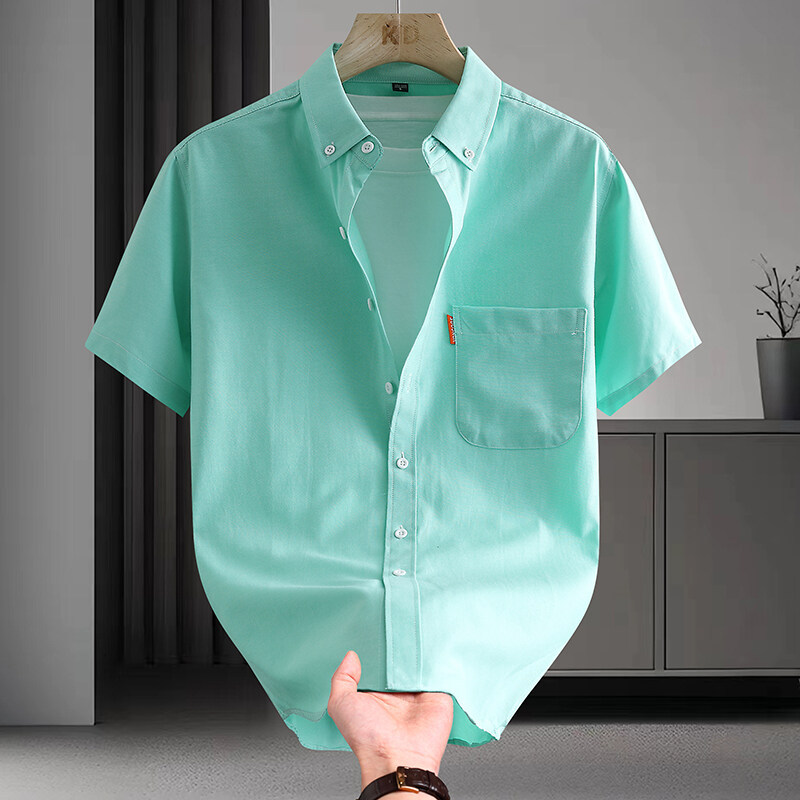 Summer Puffy Handsome Short-sleeved Shirt Men's Khmer Style Light Luxury Artistic Solid Color Commuter Top Oxford Textile Casual Shirt