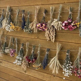 �ɻ����ϰ�������DIY�ֹ�������ϏS�����l���l���L���R�d���N