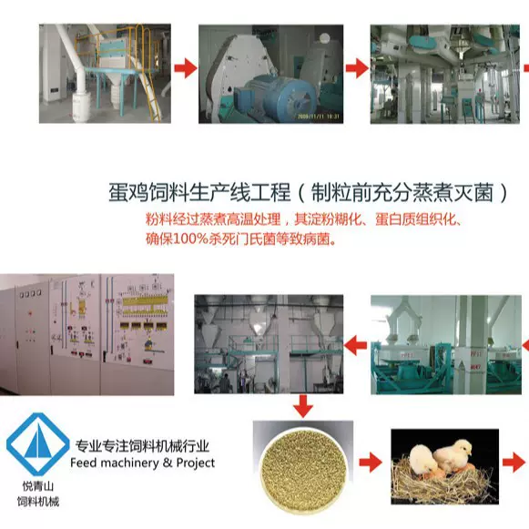 鸡饲料生产线猪饲料加工成套设备 农业机械全自动饲料生产线工程