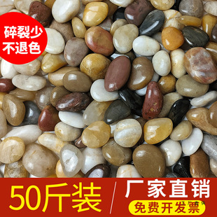 �Z��ʯ�·䁵�ͥԺ�@���쾰��Ȼ��Сʯ��ʯ�^�껨ʯԭʯ�Zܛůʯ