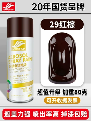Matte Hand-Shaken Spray Paint Can, Avtomobil boyası - reddish-brown-450mlbottle