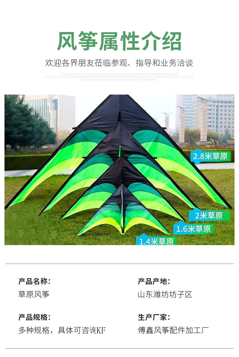 O1CN01WLFosa1Jor4Lsohgg_!!2216