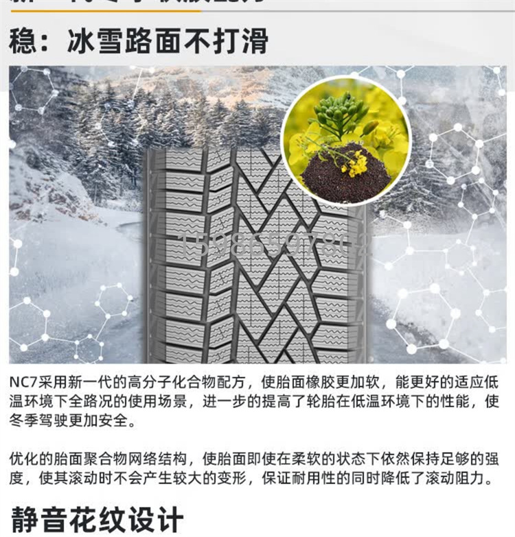 马牌雪地04.jpg