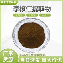 李核仁提取物 李核仁浓缩粉 水溶 李子仁粉/小李仁粉 1Kg起 包邮