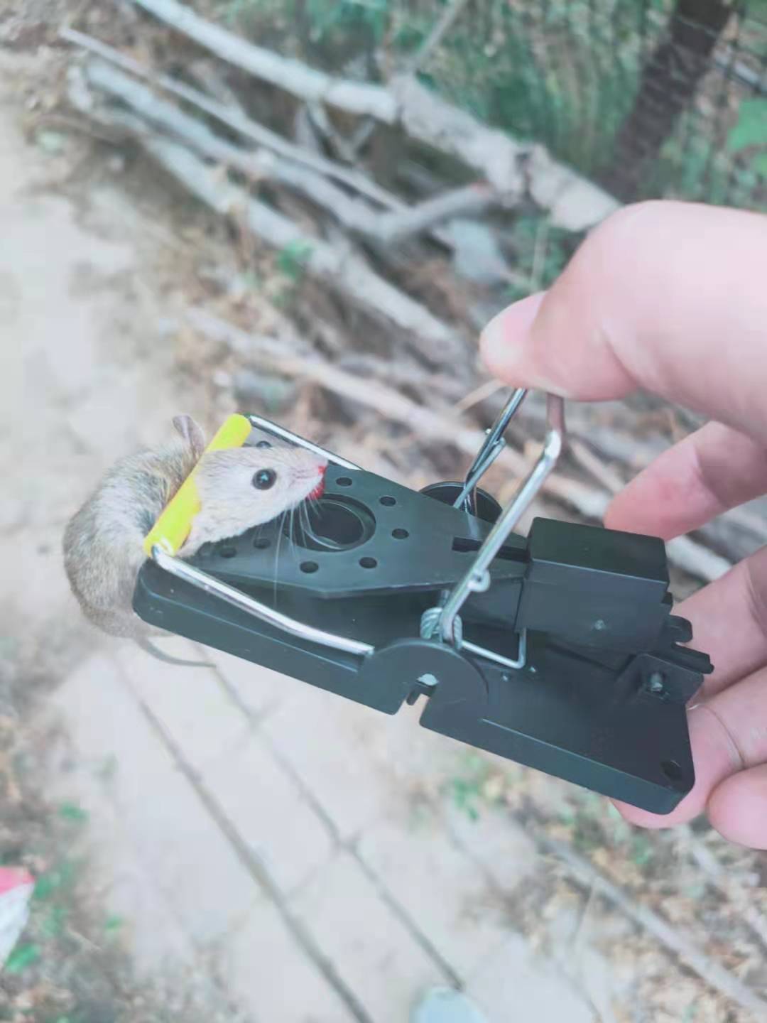 77f64ba03d245b57da9f01c7cd1087