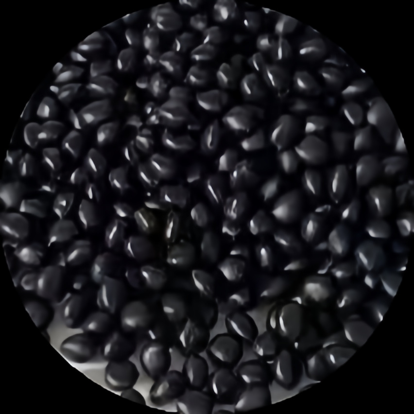 IMG_3918(20231123-100027)1