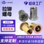 固定定制滚花镀彩锌铆螺帽