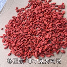 宁夏头茬枸杞大颗粒中宁特优红枸杞整箱批发厂家直发购机一箱起批