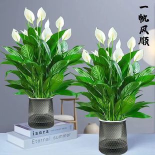 һ���L��������ܾGֲ������ˮ������҃ȿ͏d�[���ͺ�������՚�