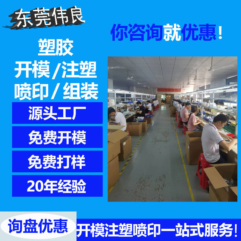 Plastic Mould