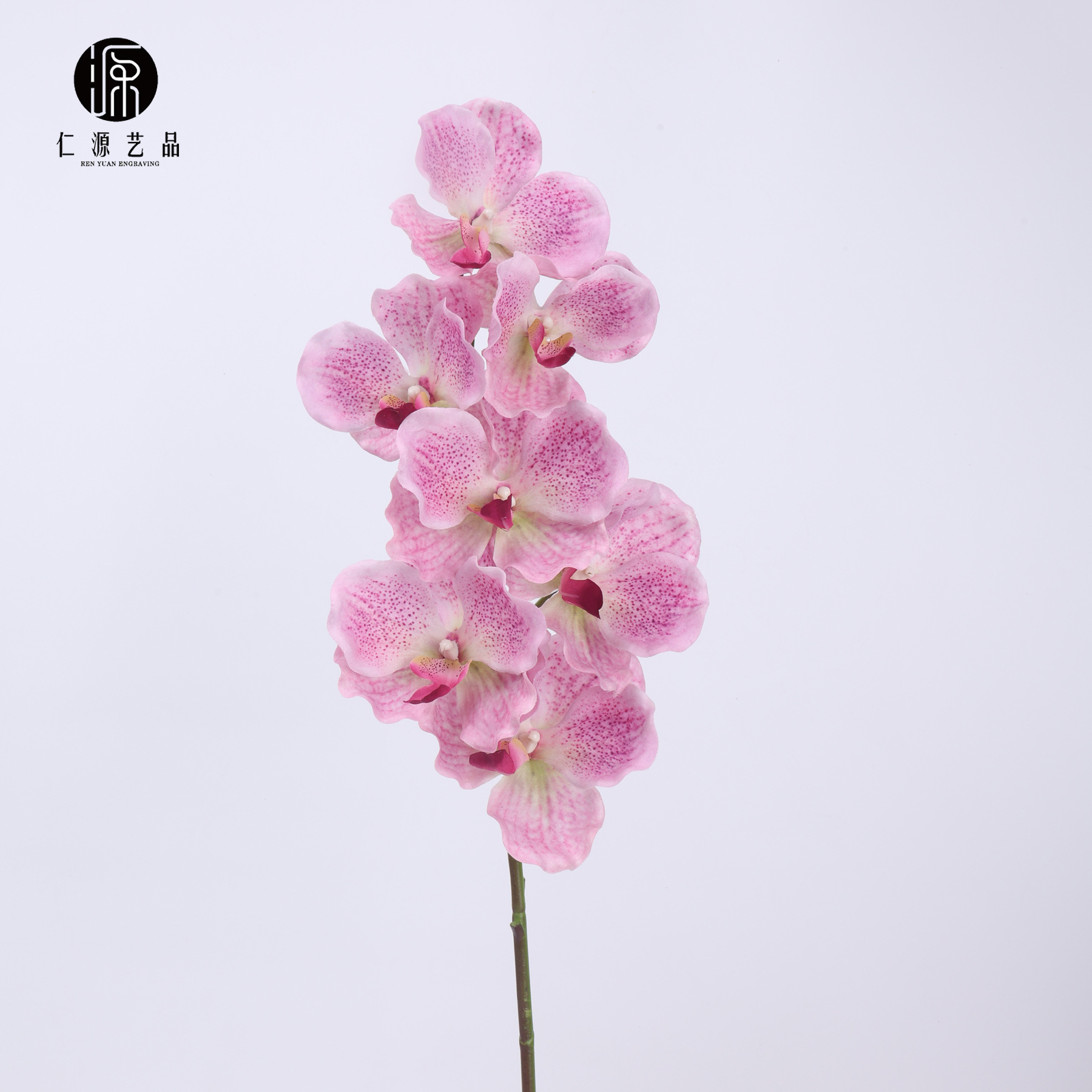 Fábrica directa de 7 orquídeas mariposa orquídeas