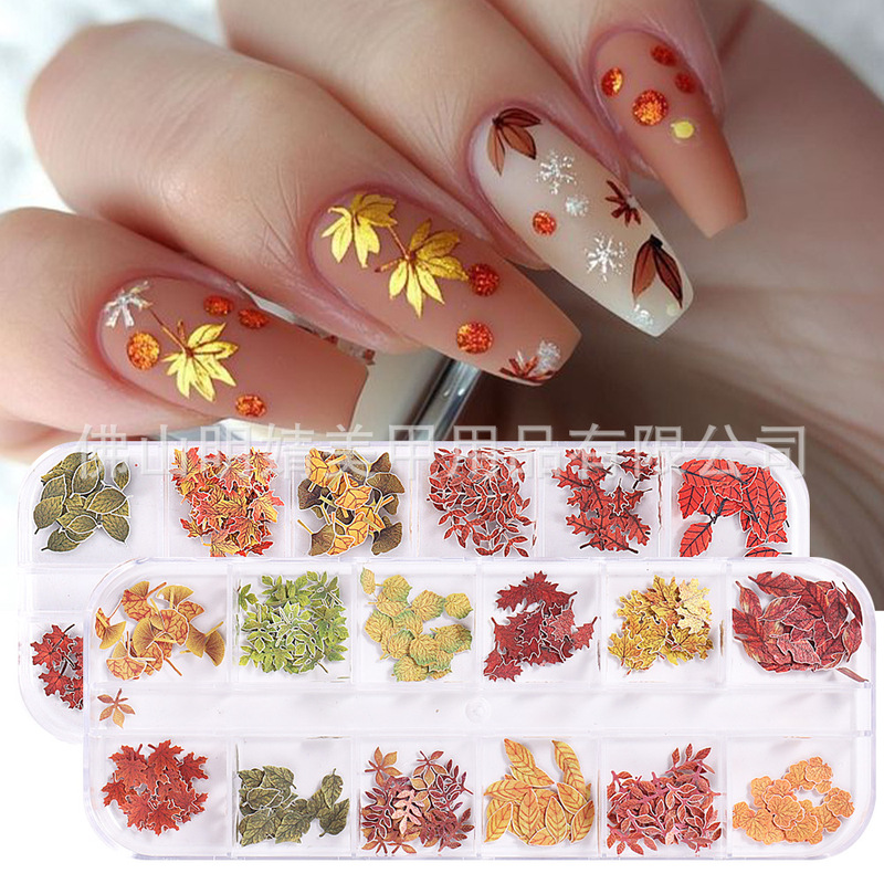 Trendy Japanese-Style Nail Art Wood Pulp Pieces Ins Autumn Mixed Fallen Leaves Dried Flower Leaf Pressed Wood Pieces Flower Nail Decoration