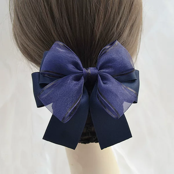 Hair Accessory for Women: Professional Nurse Hair Net, Work Hair Bun, Hair Ornament for Flight Attendants and Bank Employees, New Hair Clip