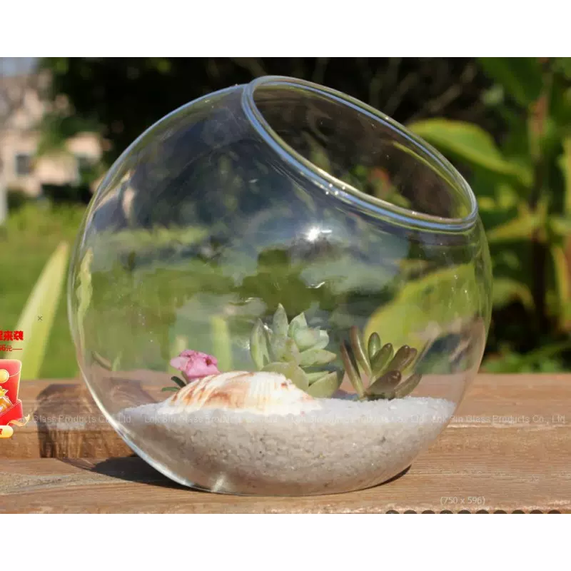 透明圆形斜口玻璃花瓶 多肉水培花器 微景观生态瓶 苔藓瓶
