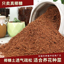 海南纯椰糠椰砖脱盐无菌散装多肉花盆育苗土营养土绿植通用养花土