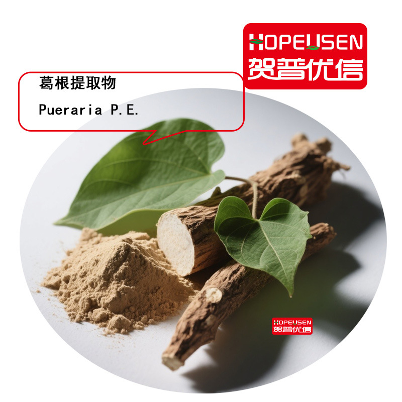 葛根提取物 比例10:1