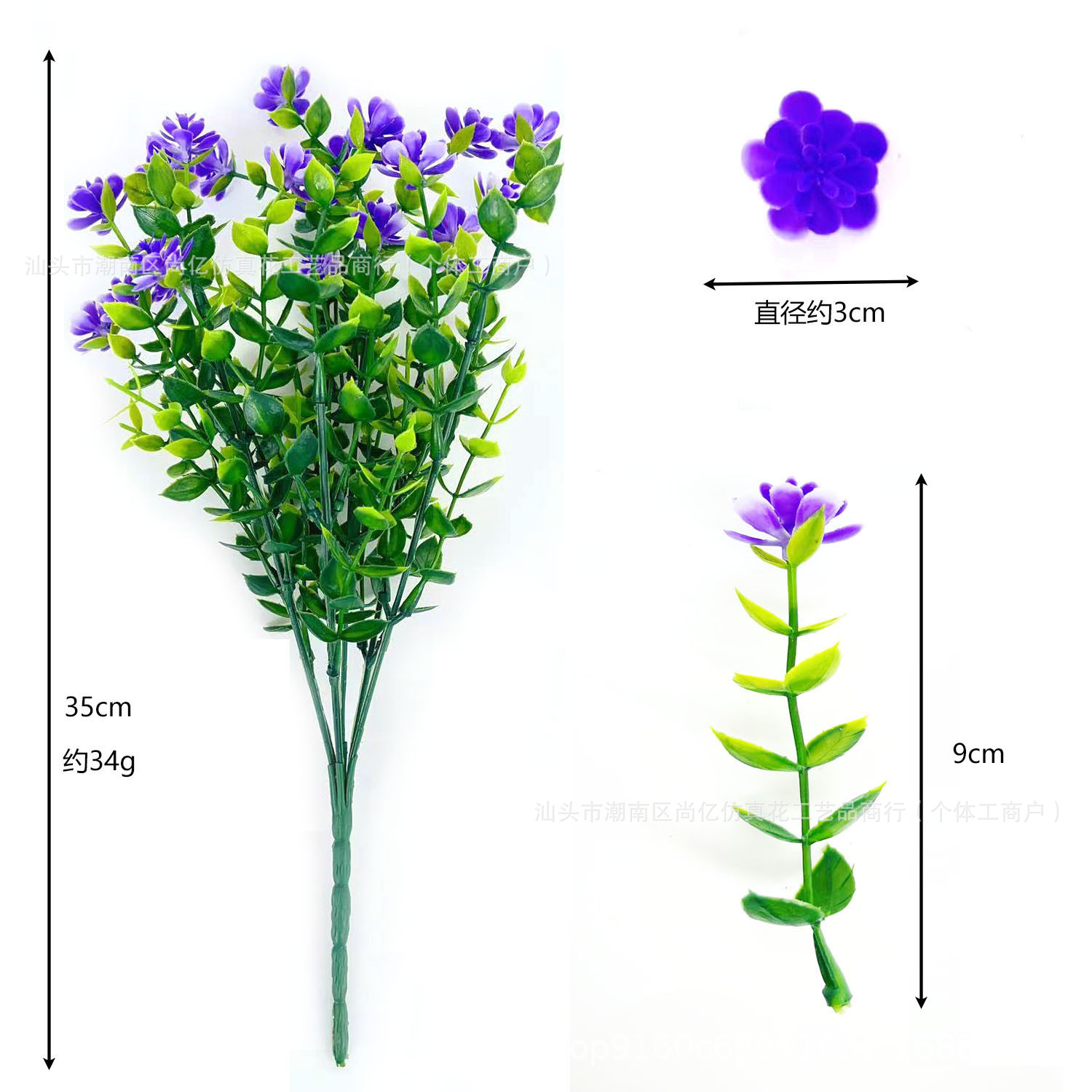 Camellia eucariana - púrpura