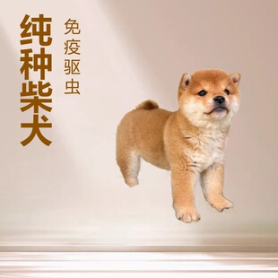 ���۲�Ȯ��Ȯ���w���̼��N�ձ���Ȯ��������Ȯ��С�ͼ��B���ﹷ��