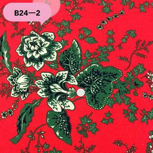 2010����ӡ������ ��� B24 ����ӡ���� �m������Ů�bͯ�b�B��ȹ
