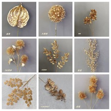 ������������ɫ���ϻ����긣Ͱ�L֦�t�ƽ����֐������������l