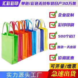 淋膜无纺布保温袋定做彩色无纺布袋子批发可印LOGO小批量500个起