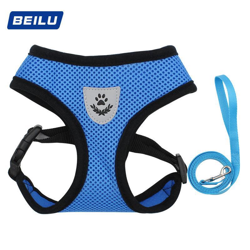 O1CN010h7awM21uCZ0VCK8v_!!2815