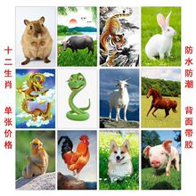ʮ����Ф�D�Lˮ��������ţ���������R����u���i��ճ�����z�N��