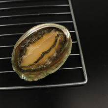 �����U�~������ؐ���ط۽z�������r�з���r�Ӽ��̈�Ӱҕ����