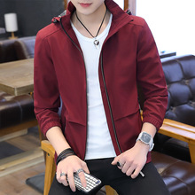 橘万里花 橘万里花品牌 图片 价格 橘万里花批发 阿里巴巴