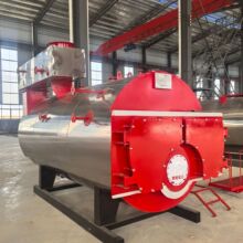 �������g�w ��ʽ�͵���������偠t 1.25Mpa���� 194��ߜ� ���x��