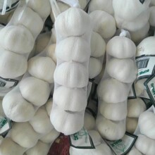 ���⹤�S���ڹ�˾�����������������������Ϸǣ���������၆���