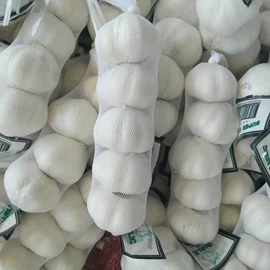 蒜;洋葱;其他农业