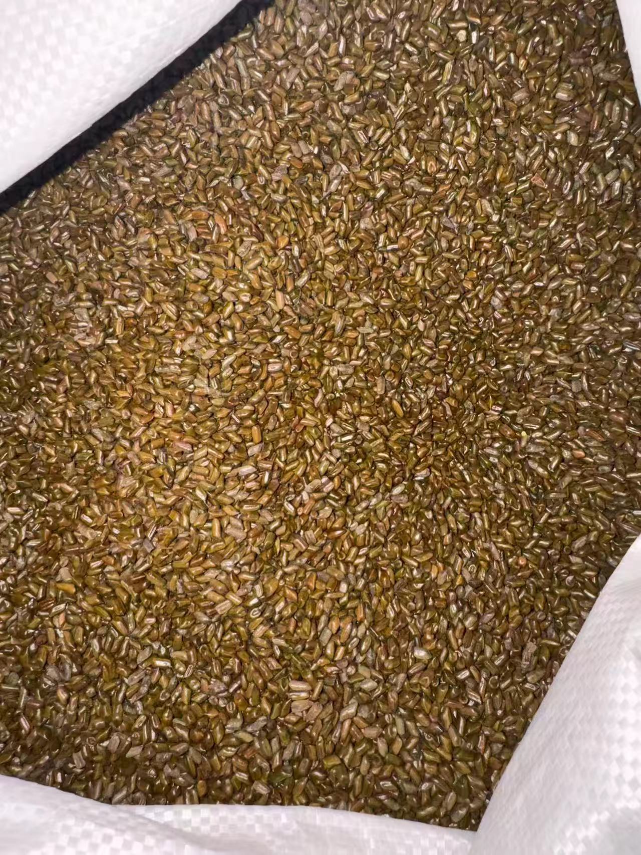 Cassia Seed Jue Ming Zi Dried Whole Seeds 1000g Herbal Tea Ingredient Bulk Pack quality and texture