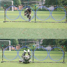 �׃��w�����H�ӻ���Բʵ����ϵK�ĭh�҃����w�m���҃���Ӗ������