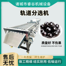 �¿�Ό����ּ��C �}Ů���x���C ����ּ��C܉��ʽˮ����С���x�C