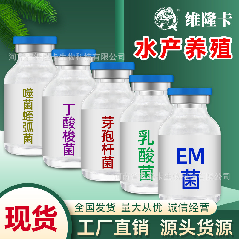 水产em菌乳酸菌噬菌蛭弧菌冻干粉丁酸梭菌枯草芽孢杆菌种