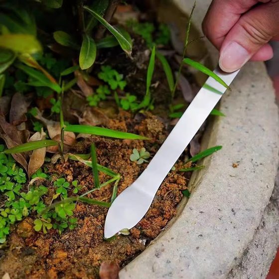 New potted plant rake double-headed stainless steel small size soil removal tools planting loose soil small rake handmade bonsai weeding