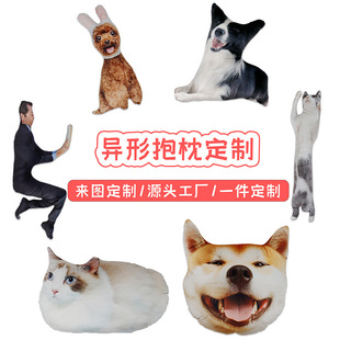 Boundary clown cat cross-border factory direct to map custom diy photo alien pet pillow cat dog doll