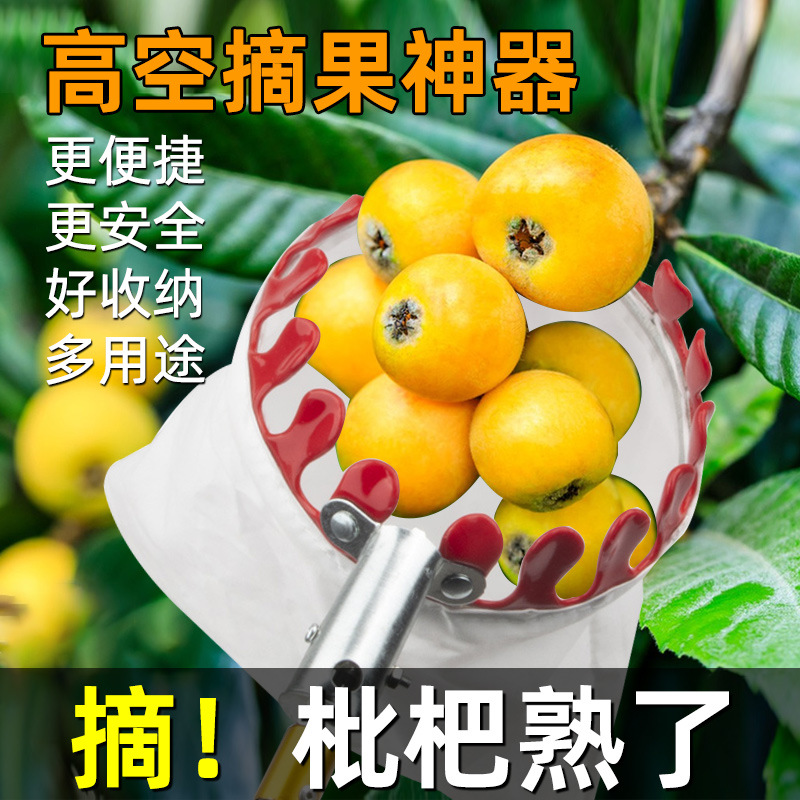 摘水果伸缩杆枇杷桃果子李高空摘果器采摘勾橘子桔枣杨梅杏子