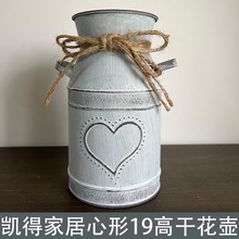 源头厂家 复古铁皮花壶心形干花壶铁花盆立体图案花盆装饰壶盆景