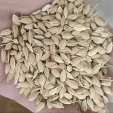 ����ι�u����ϖ|���A������ˮ�����ӎ��������u���l